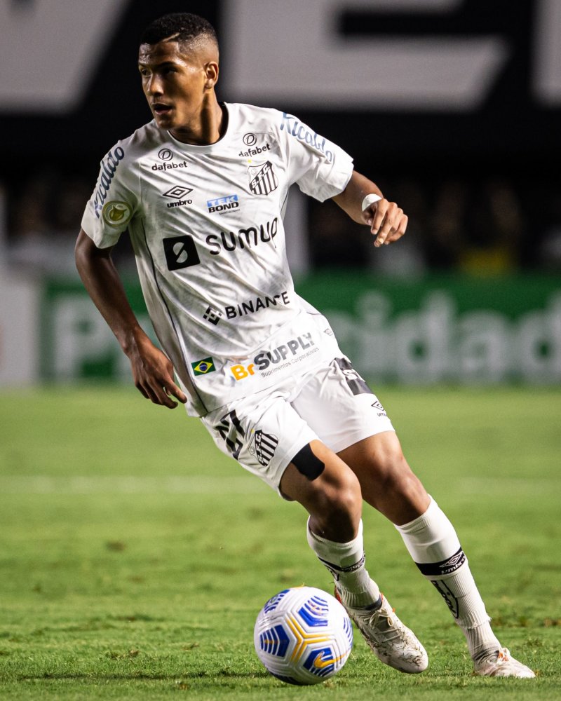 也增加了本 也增加了本